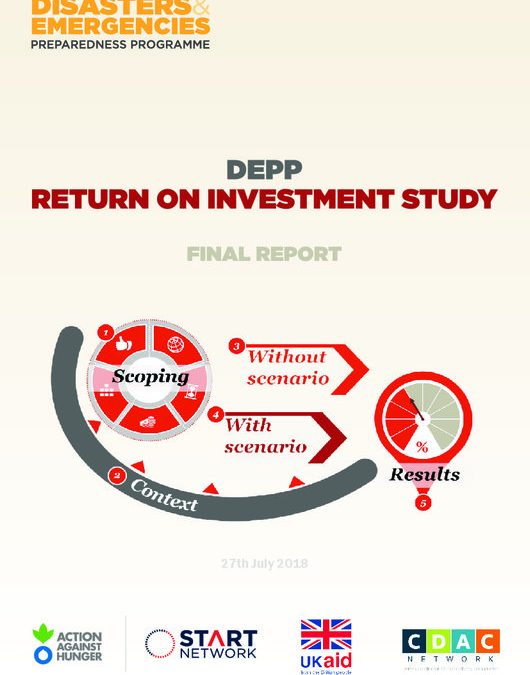 DEPP Return on Investment Study